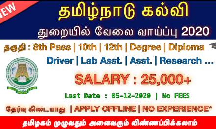 தமிழ்நாடு பல்கலைக்கழகத்தில் வேலை வாய்ப்பு