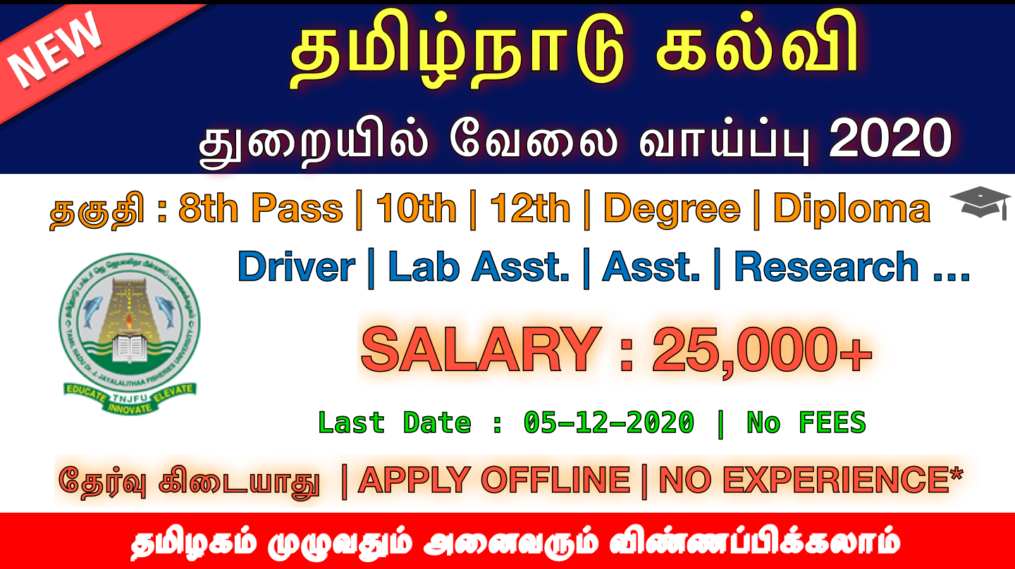 தமிழ்நாடு பல்கலைக்கழகத்தில் வேலை வாய்ப்பு
